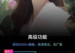 明星黄视频,揭秘明星黄背后的故事与魅力