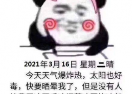 鸡翅中表情包