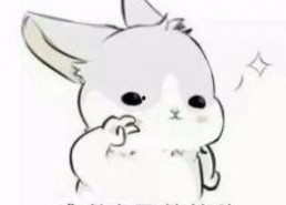 表情包 兔子 高冷,萌动人心