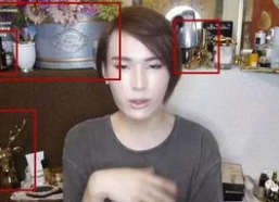 网红扒皮所视频,揭开网络红人背后的真相