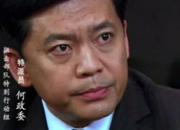 何政军简历个人资料,从军旅生涯到影视明星的华丽转身