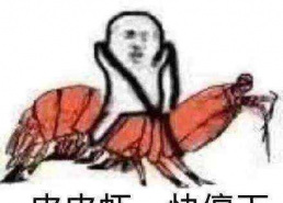 表情包收复皮皮虾